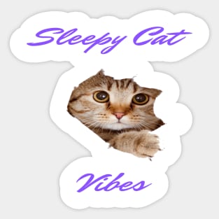 SLEEPY CAT VIBES Sticker